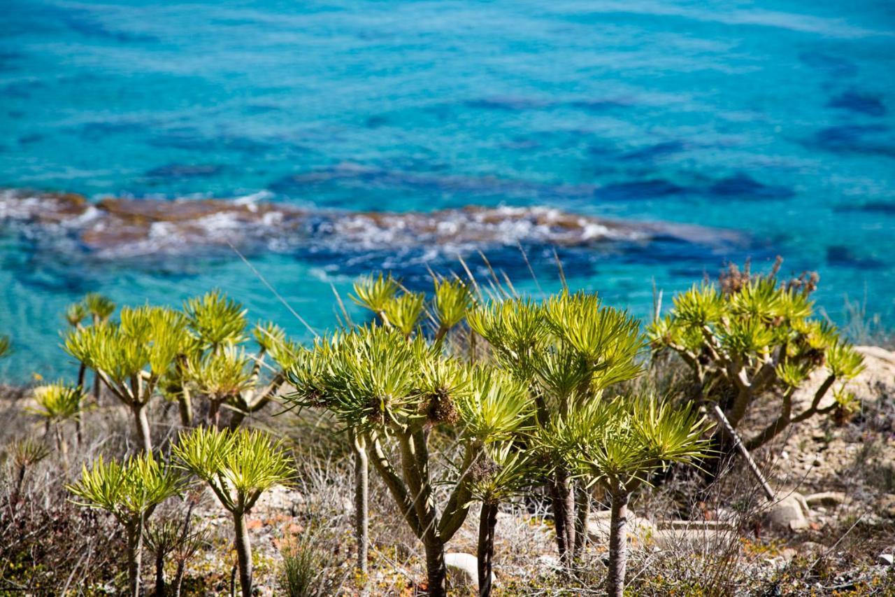 Villa Calanuza El Campello Exterior foto